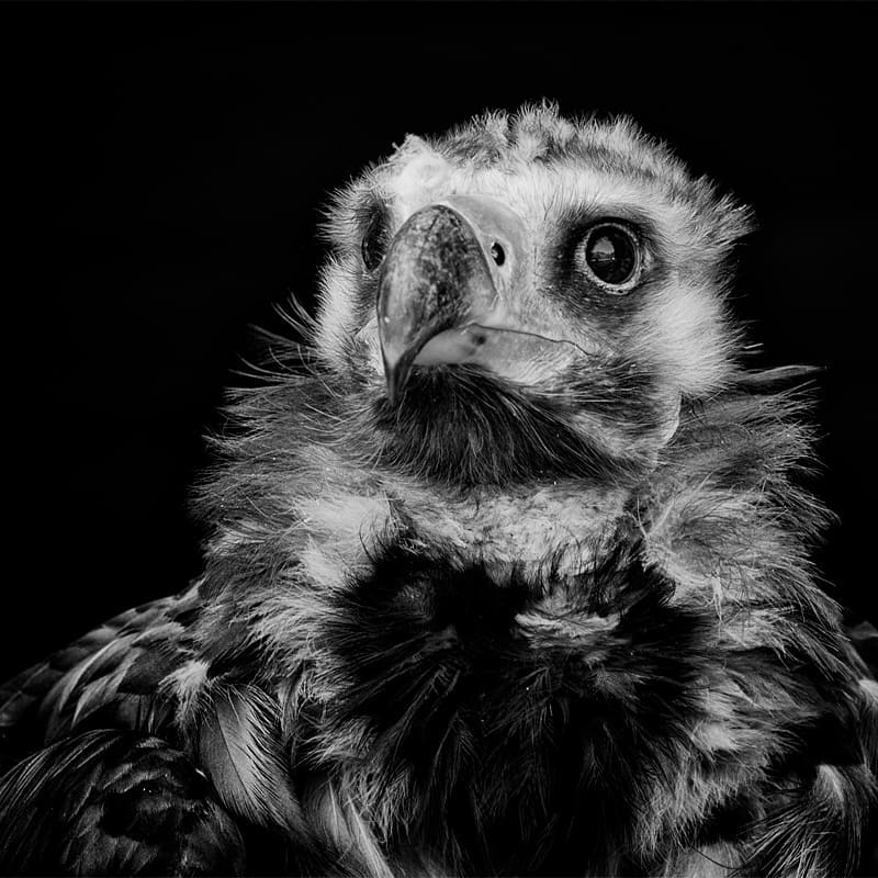 Aus Instagram imporiert