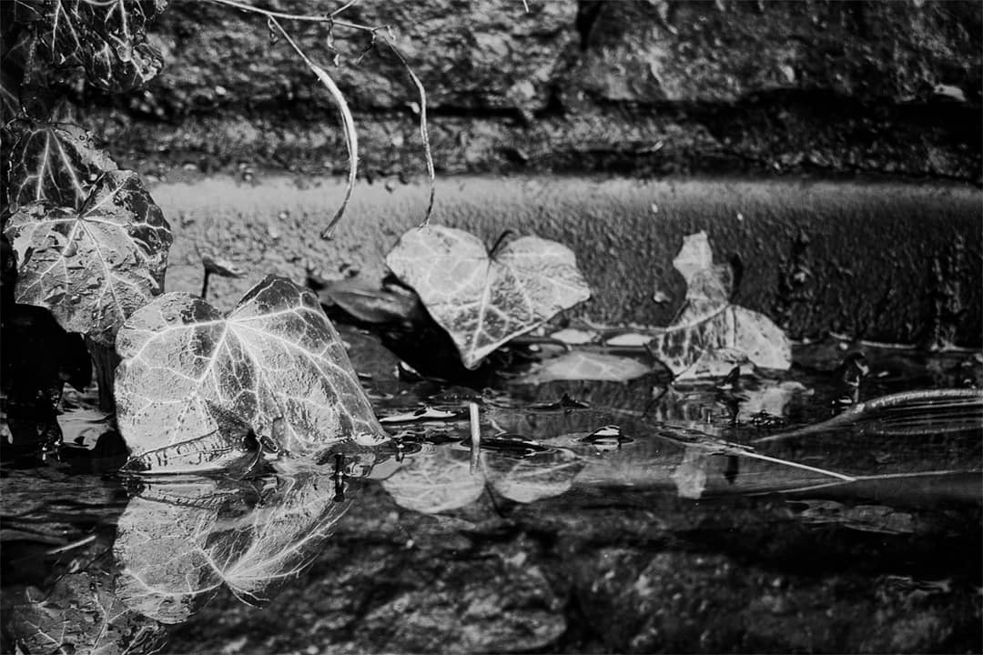 Aus Instagram imporiert