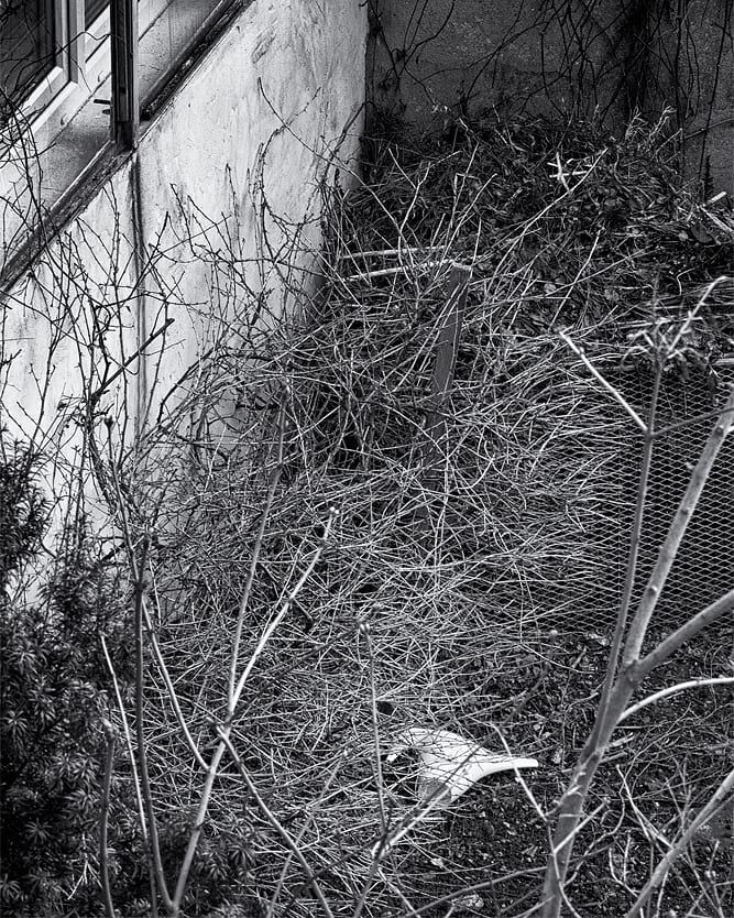 Aus Instagram imporiert