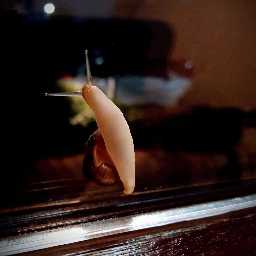 Aus Instagram imporiert