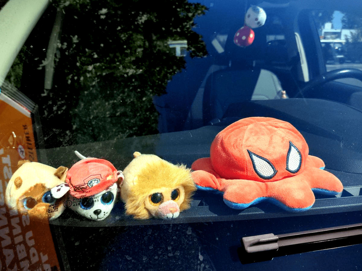 Aus Pixelfed importiert