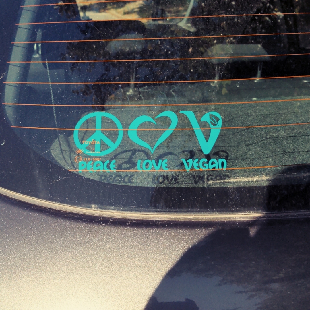 Aus Pixelfed importiert