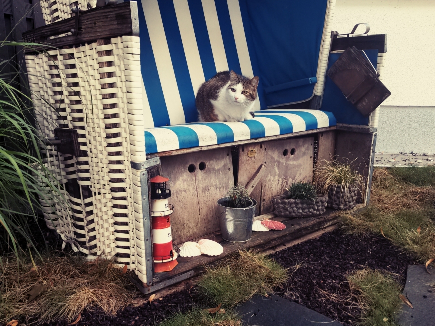 Aus Pixelfed importiert