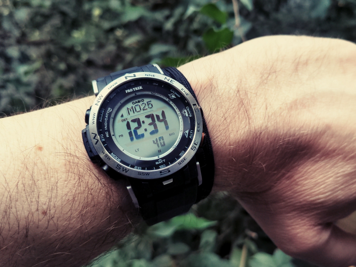 Aus Pixelfed importiert