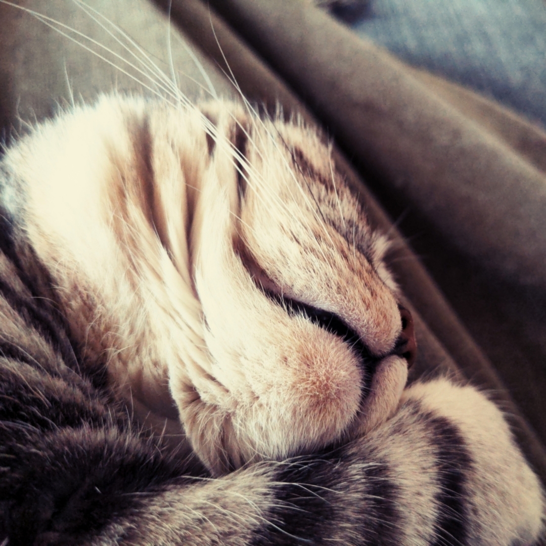 Aus Pixelfed importiert