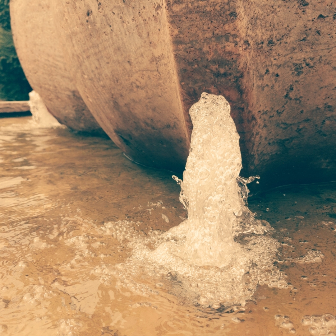 Aus Pixelfed importiert