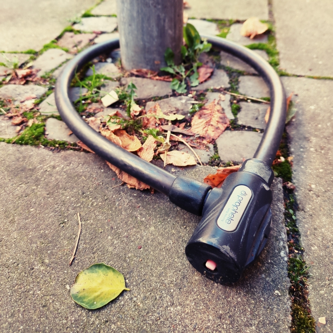 Aus Pixelfed importiert