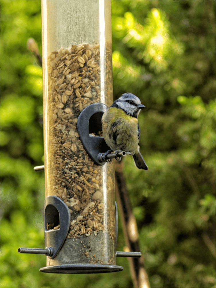 Aus Pixelfed importiert