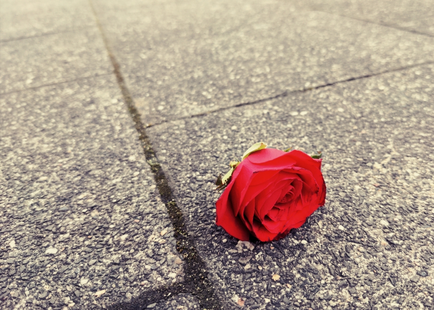 Aus Pixelfed importiert