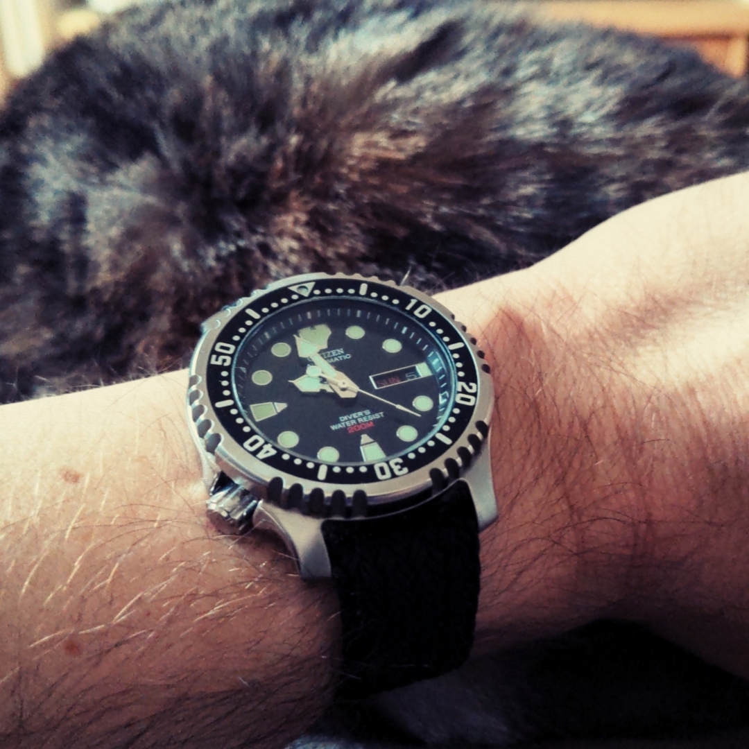 Aus Pixelfed importiert