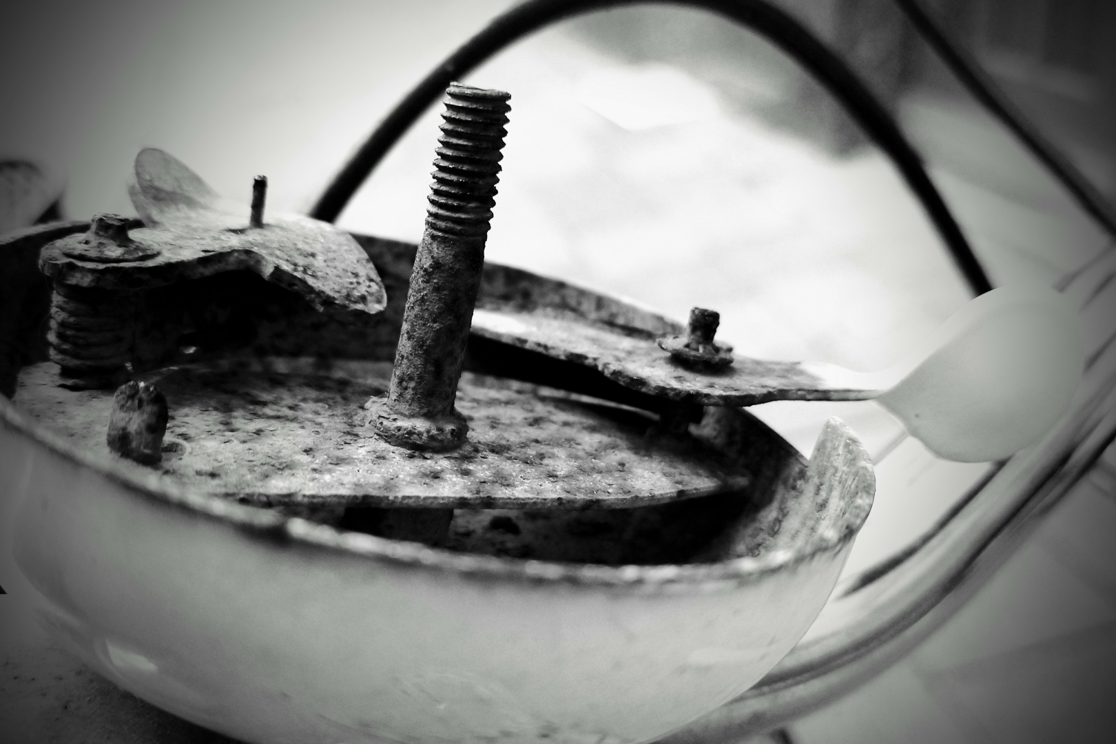 Aus Pixelfed importiert