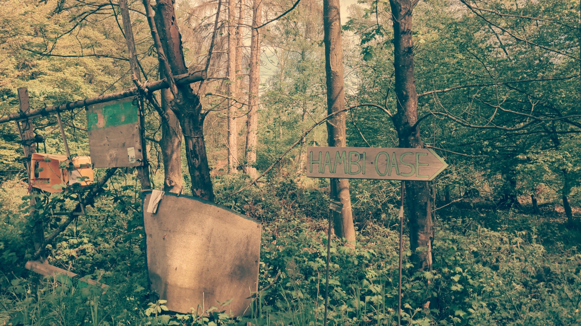 Aus Pixelfed importiert