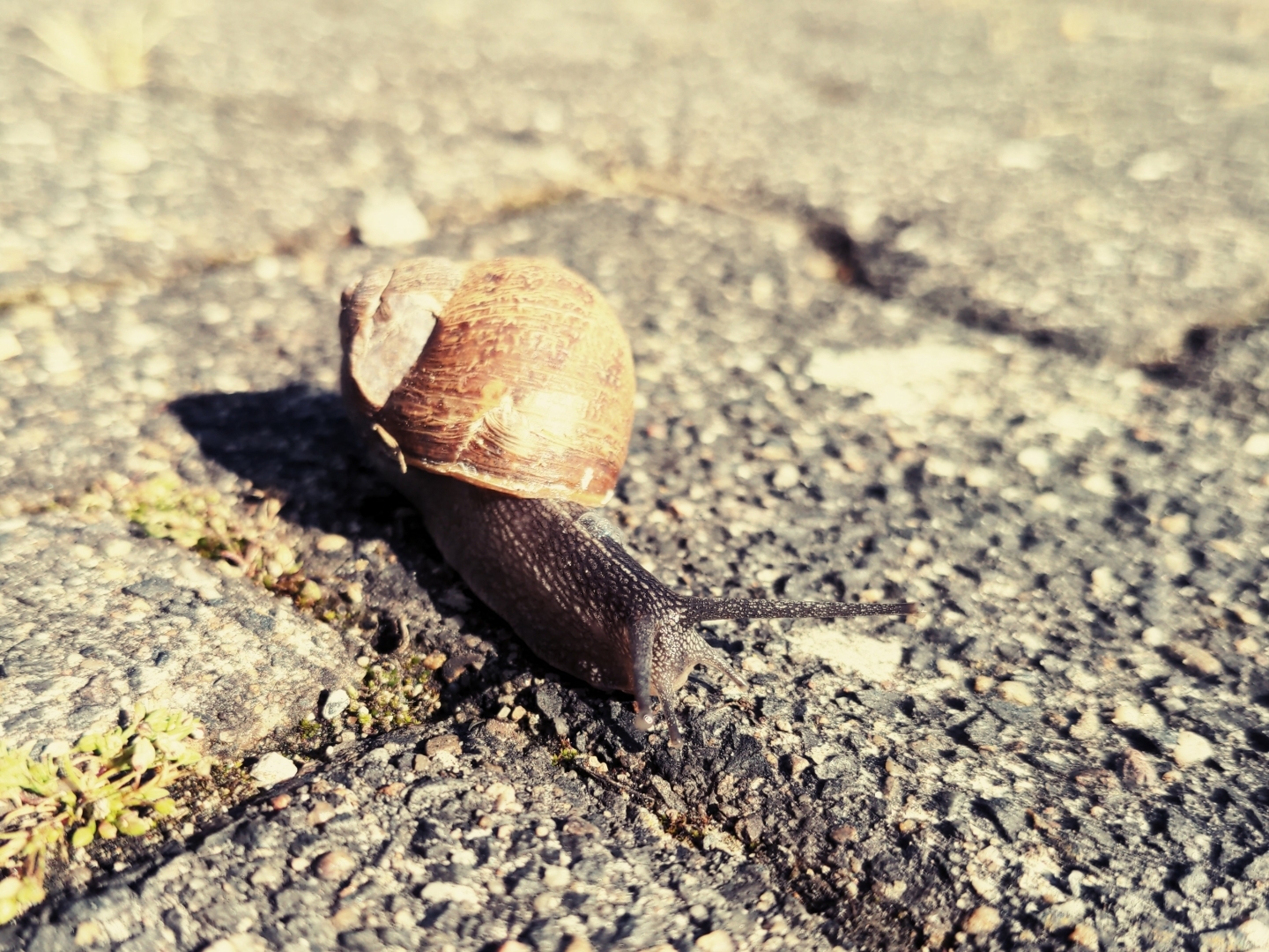 Aus Pixelfed importiert