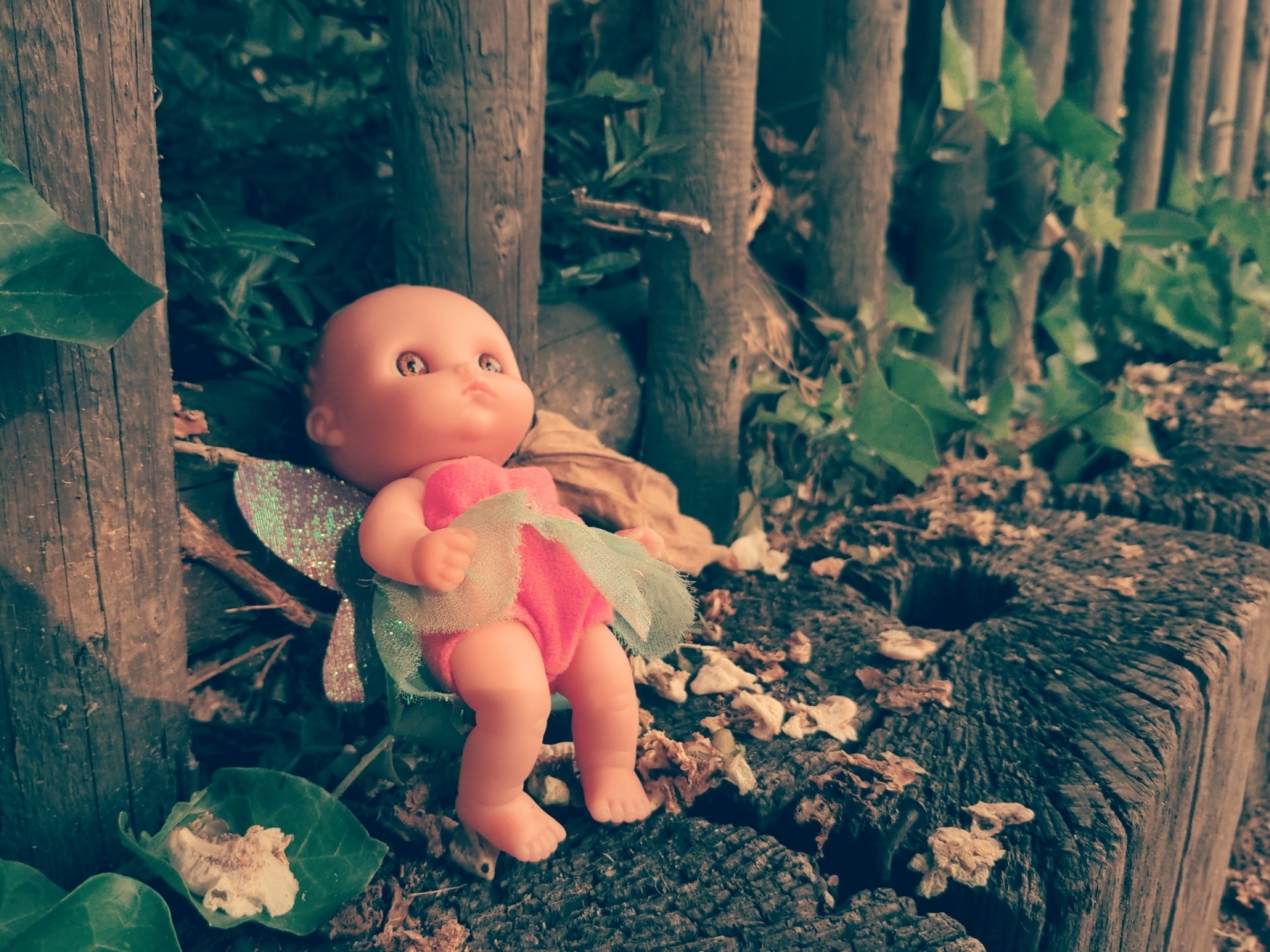 Aus Pixelfed importiert