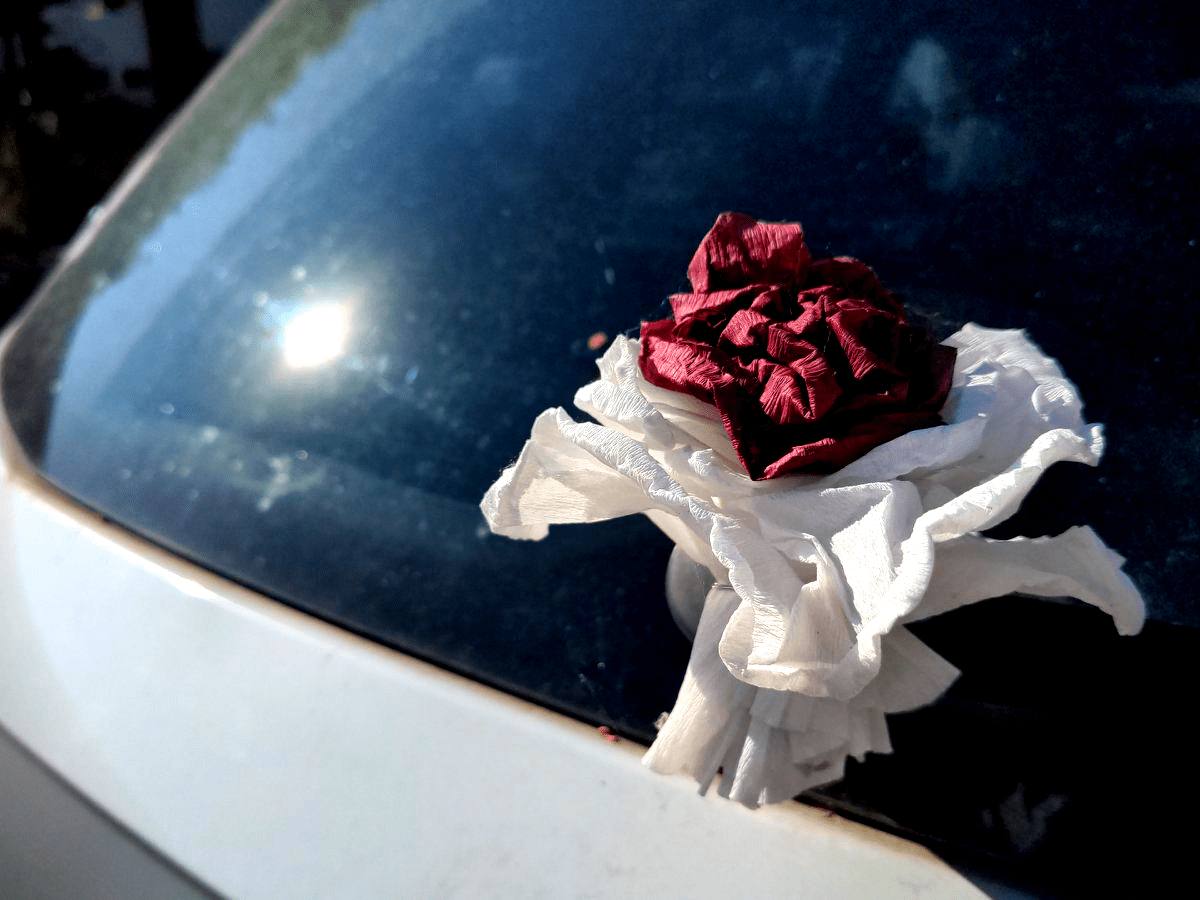 Aus Pixelfed importiert