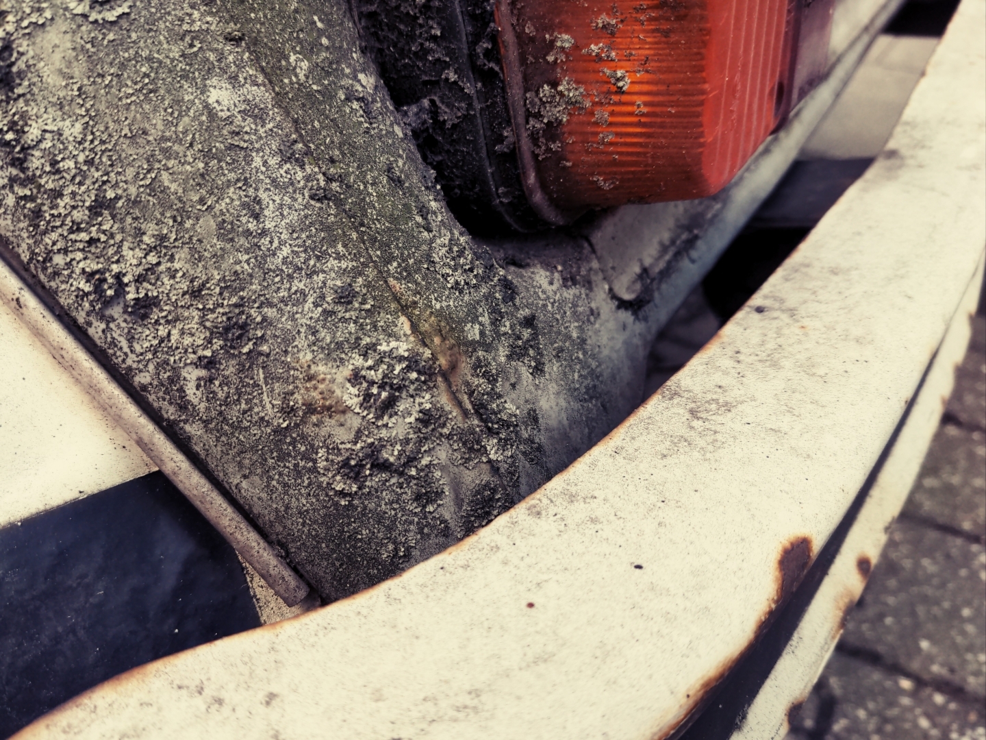 Aus Pixelfed importiert