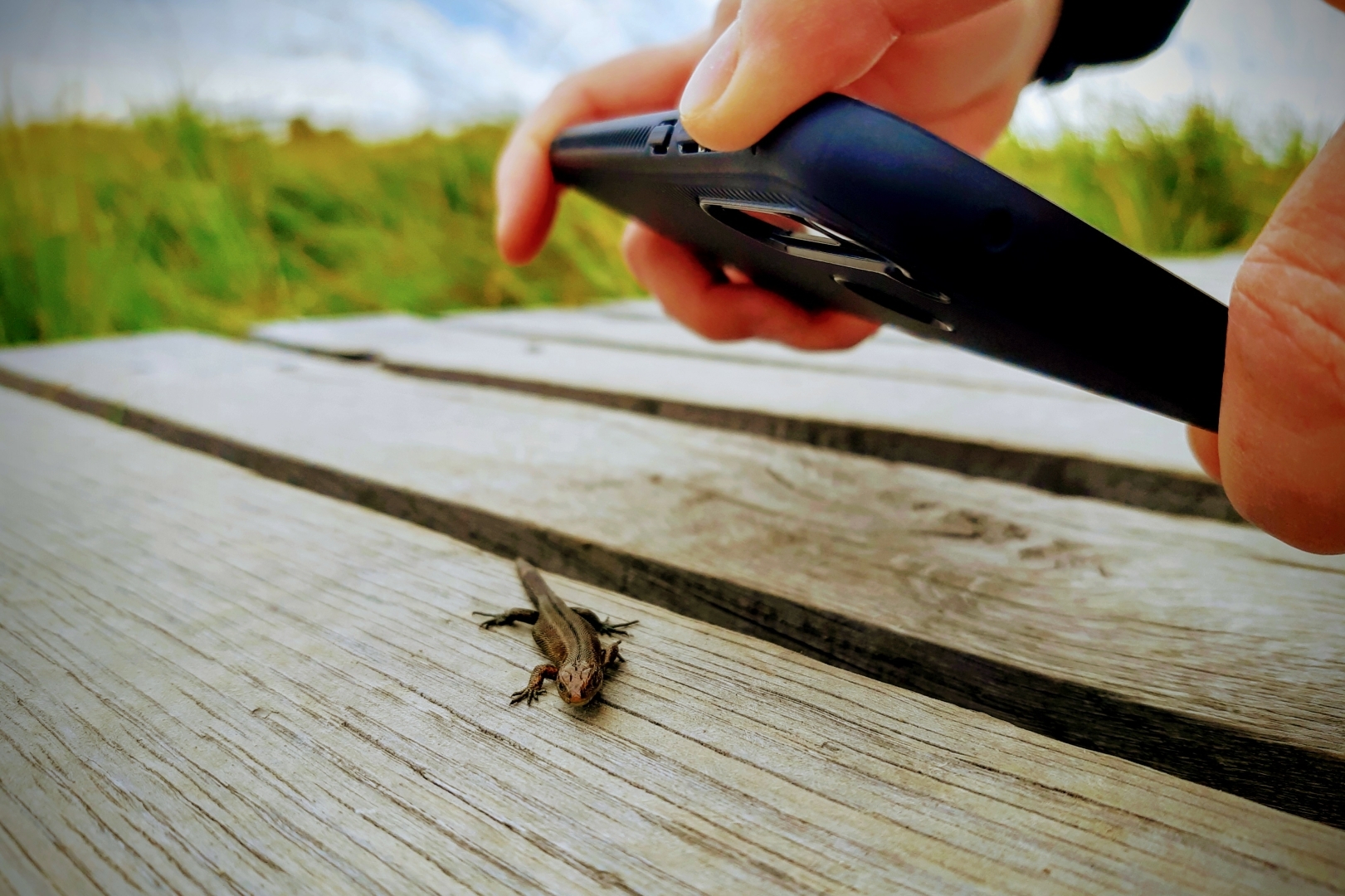 Aus Pixelfed importiert