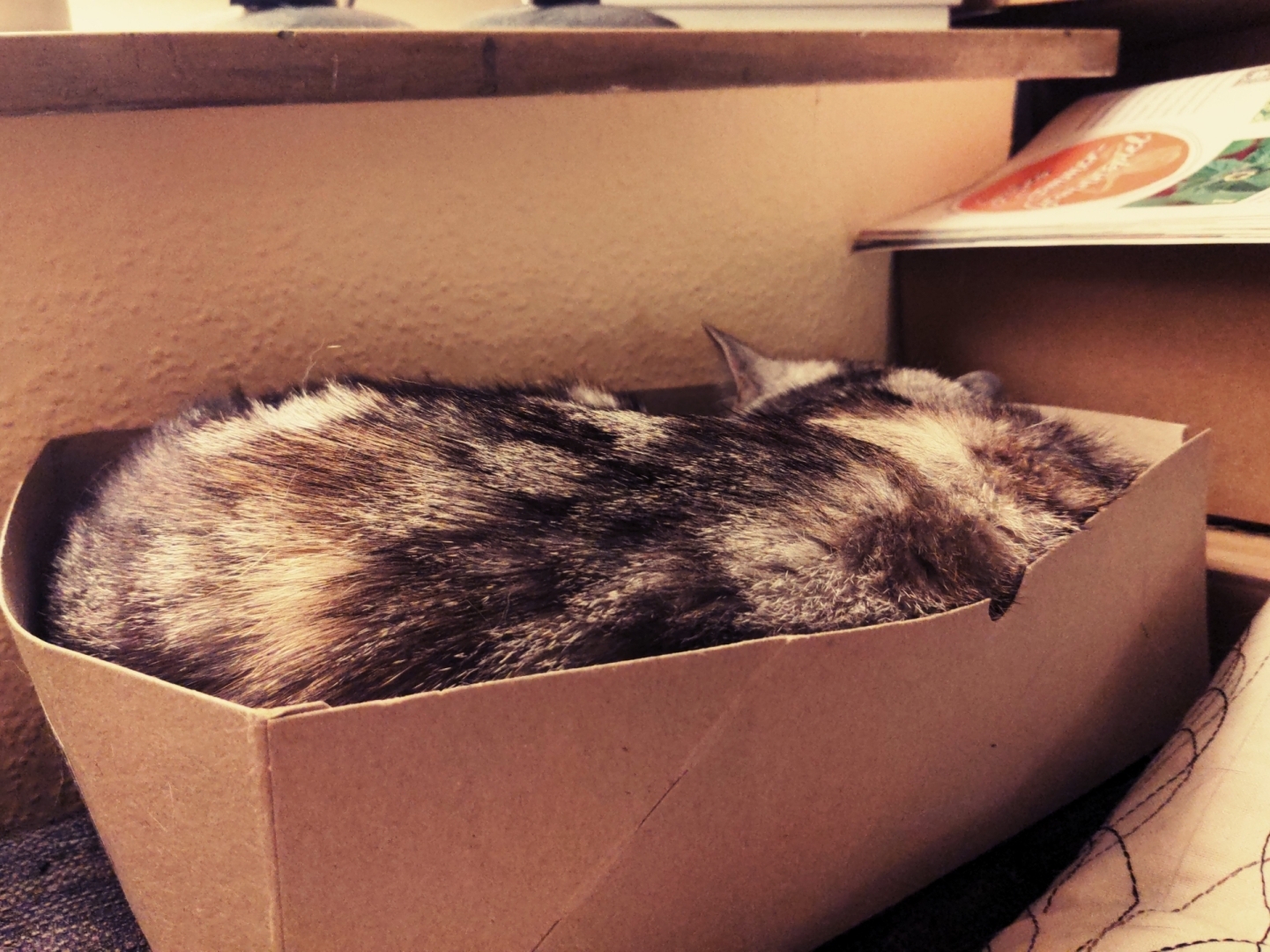 Aus Pixelfed importiert