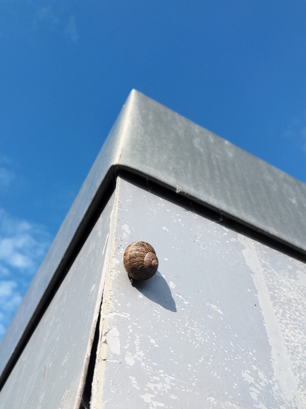 Aus Pixelfed importiert