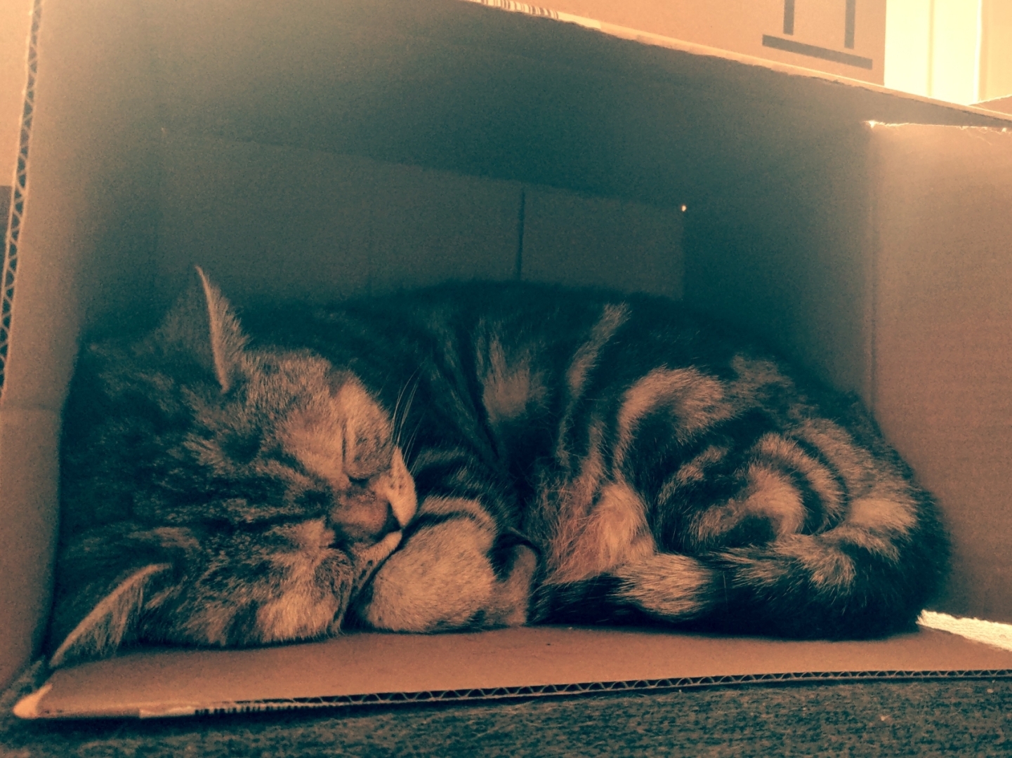 Aus Pixelfed importiert